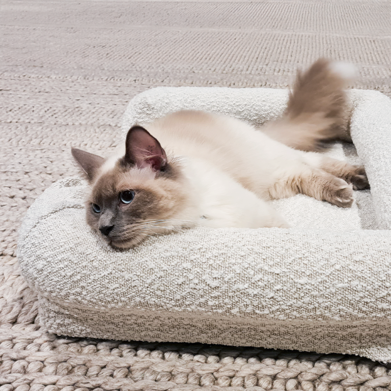 Coco Cosy Pet Bed Australia - Pethood