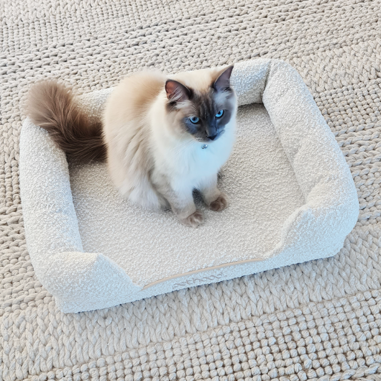 Coco Cosy Pet Bed Medium Australia - Pethood