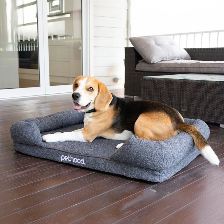 Coco Cosy Pet Bed Large Australia - Pethood