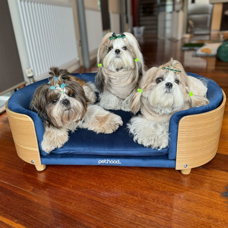 Luna Oval Pet Bed Large Velvet Blue Australia - Pethood