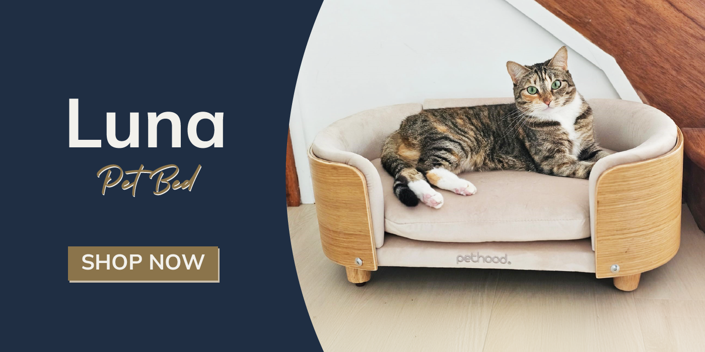 Luna Oval Pet Bed Australia - Pethood