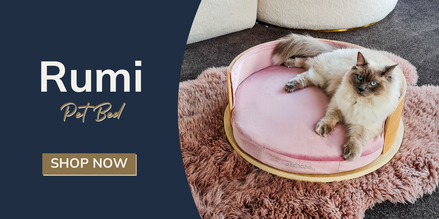 Luna Oval Pet Bed Australia - Pethood