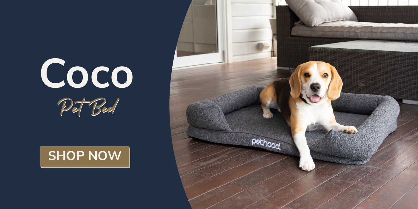 Luna Oval Pet Bed Australia - Pethood