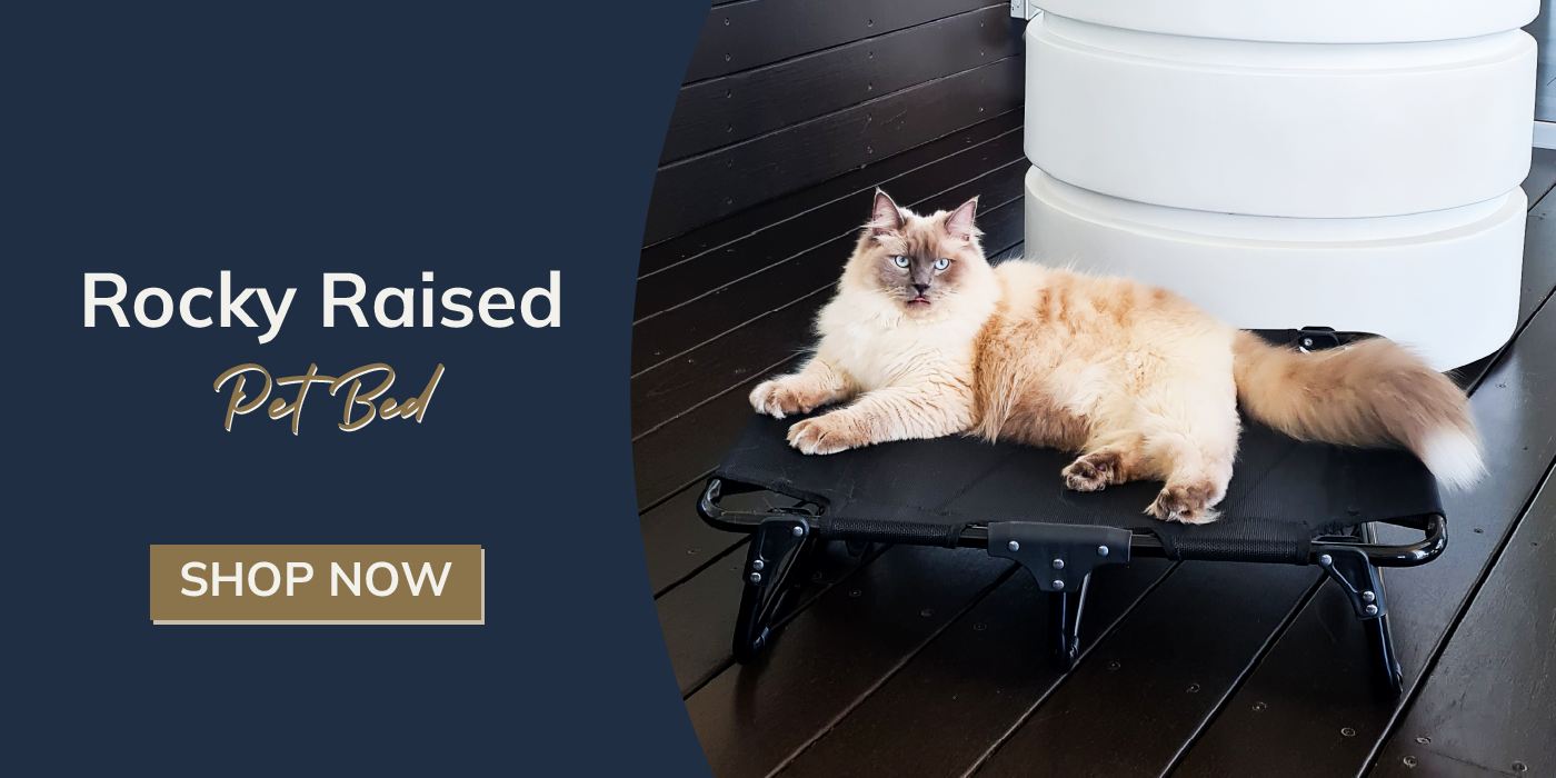 Luna Oval Pet Bed Australia - Pethood