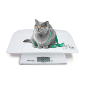 Grow and Glow Scale
